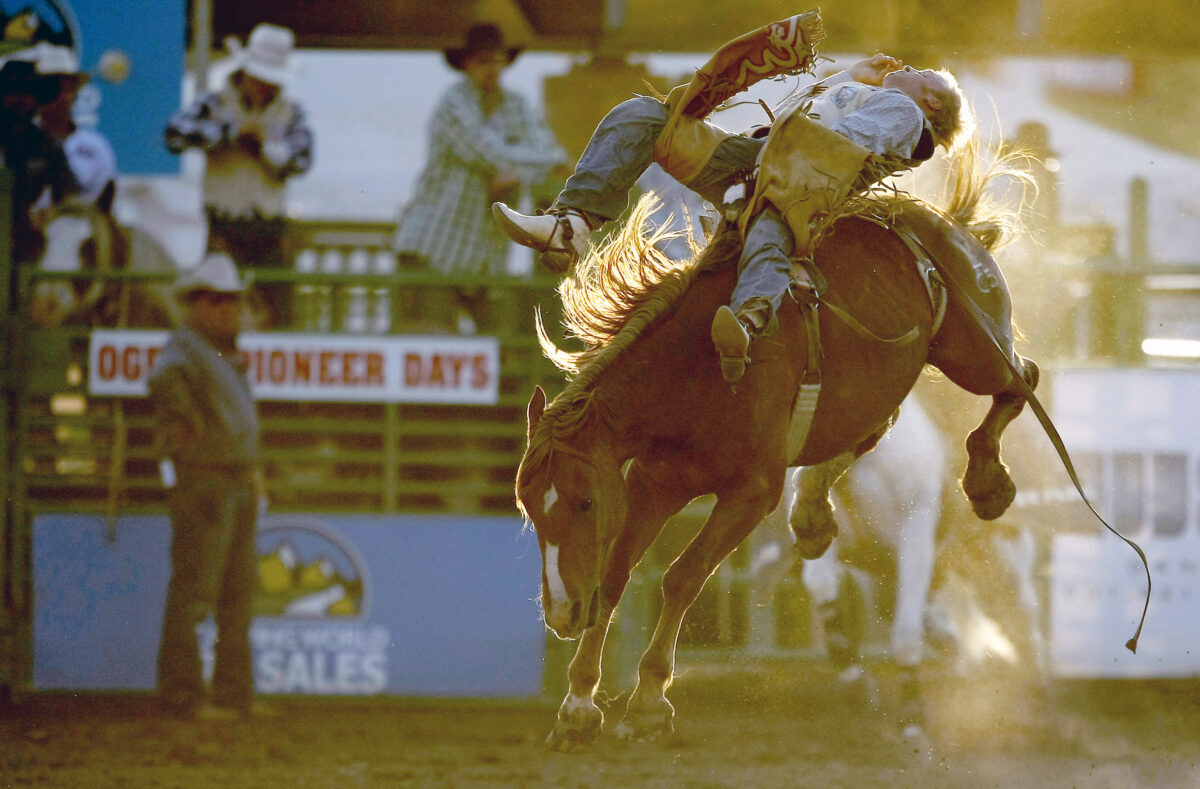 Animal rights activist: Rodeos like gladiator times | News, Sports ...